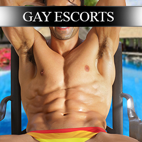 Gay Escorts